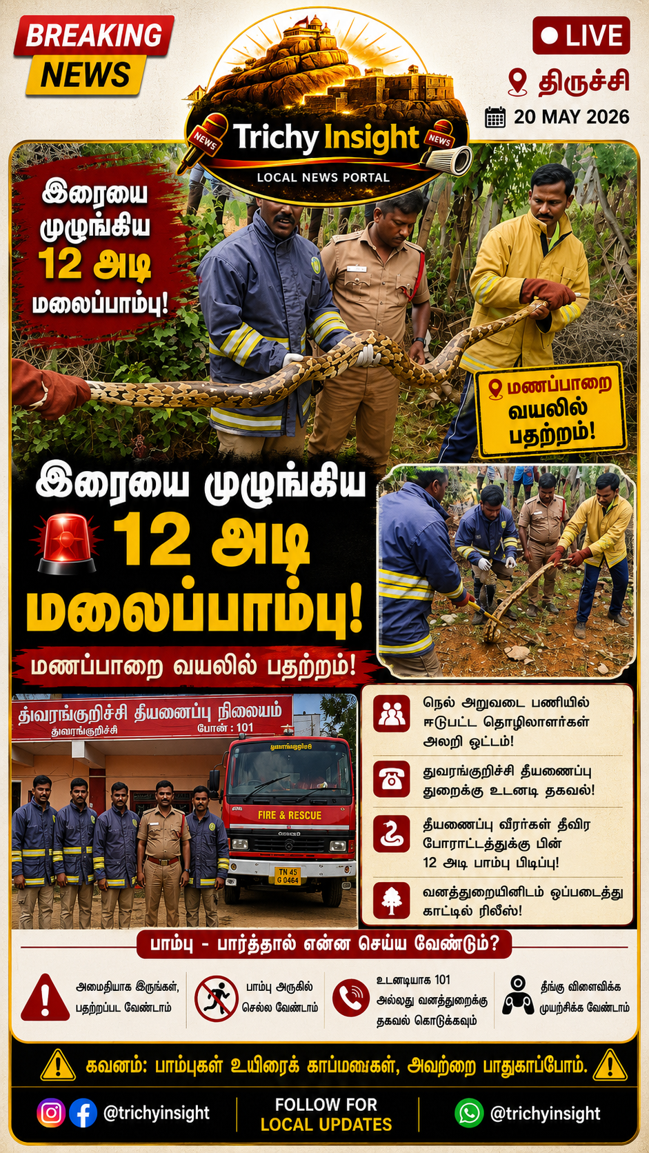 12 Feet Python Caught Near Manapparai | Trichy Insight