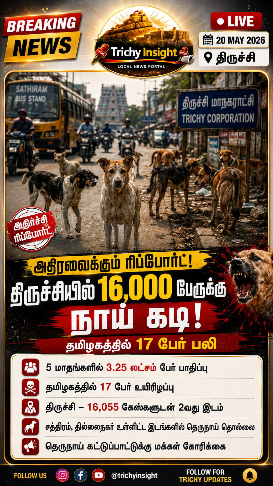 Trichy Stray Dog Bite Cases Rise: திருச்சியில் 16,000 பேருக்கு நாய் கடி! | Trichy Insight