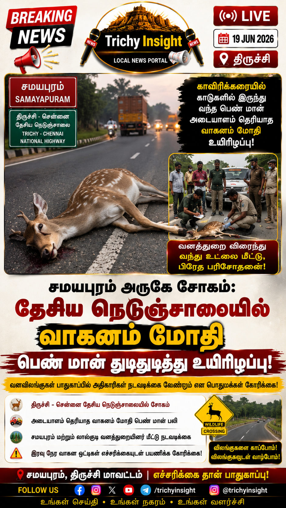 Deer Killed in Road Accident Near Samayapuram | Trichy Insight