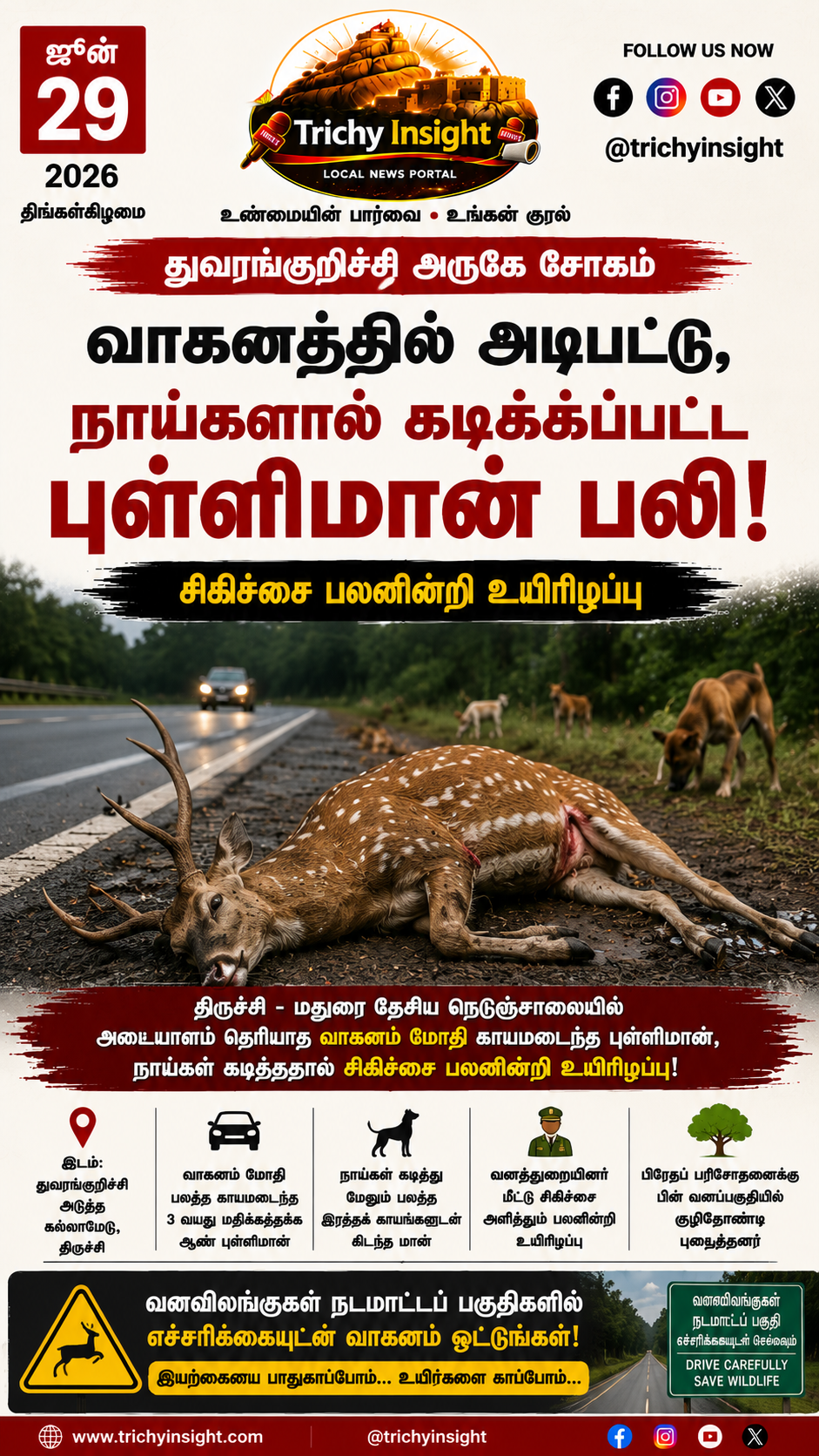 துவரங்குறிச்சி அருகே புள்ளிமான் உயிரிழப்பு - Trichy Insight