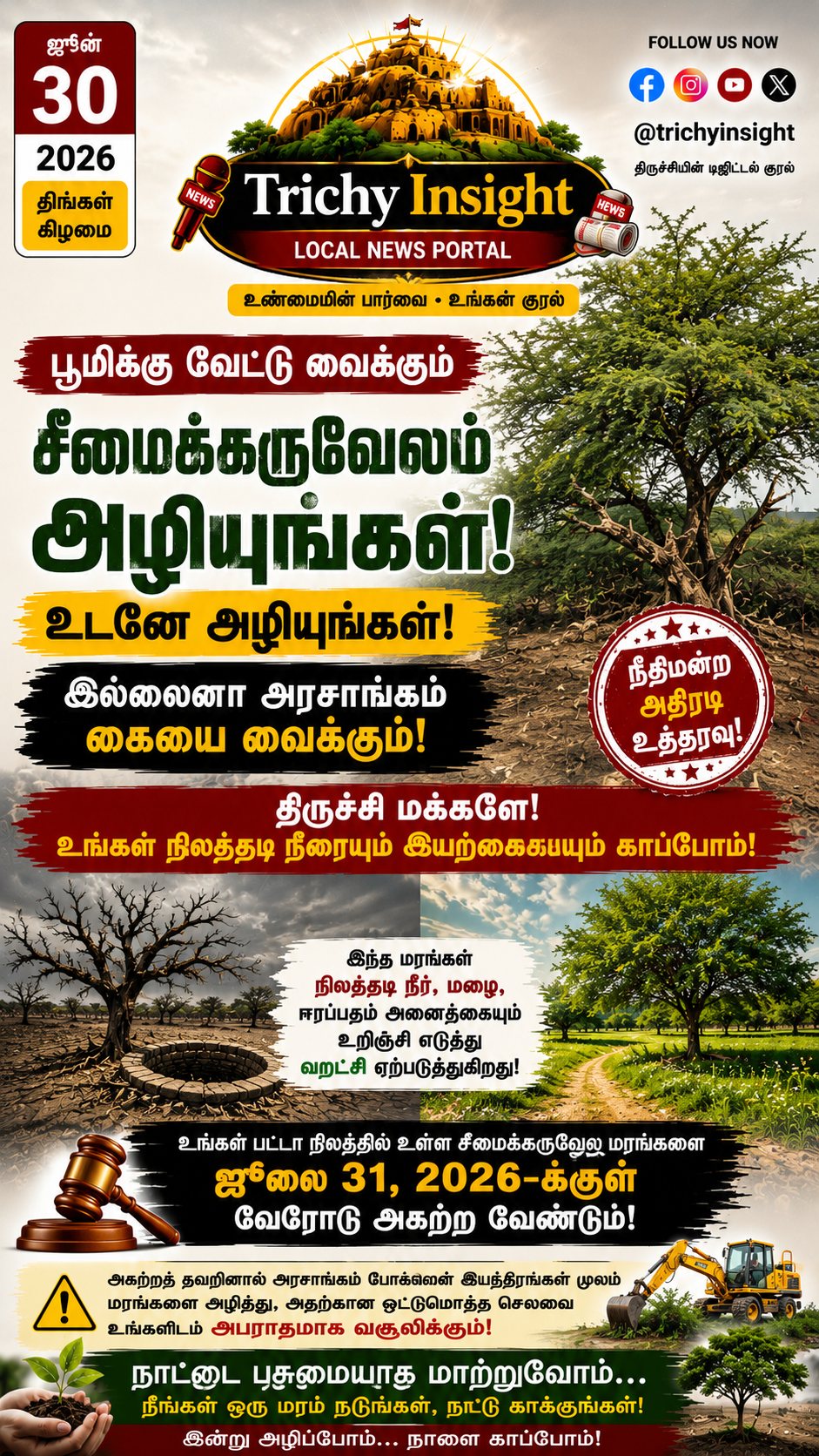Seemai Karuvelam Trees Danger & Court Order | Trichy Insight